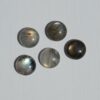 1.5" ASTERIA Gemstone Buckle Collar - Image 29