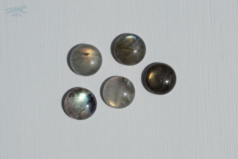 1.5" ASTERIA Gemstone Buckle Collar - Image 29