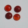 1.5" ASTERIA Gemstone Buckle Collar - Image 41