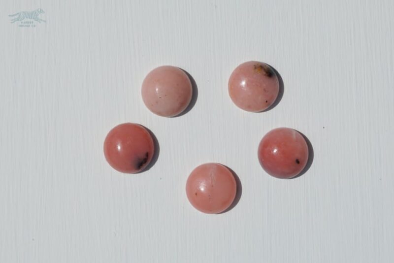 1.5" ASTERIA Gemstone Buckle Collar - Image 21