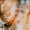 1.5" ASTERIA Gemstone Buckle Collar - Image 10
