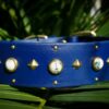1.5" ASTERIA Gemstone Buckle Collar - Image 13
