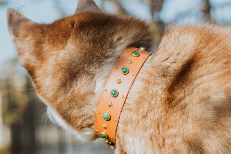 1.5" ASTERIA Gemstone Buckle Collar - Image 11