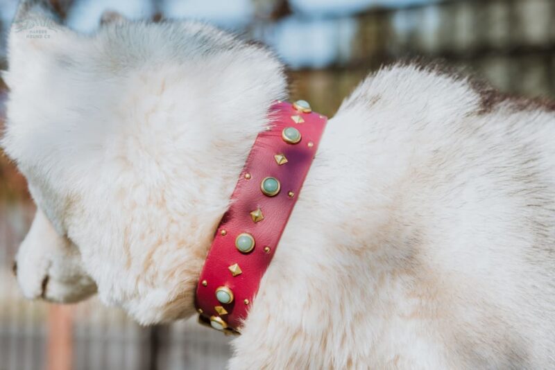 1.5" ASTERIA Gemstone Buckle Collar - Image 2