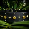 1.5" ASTERIA Gemstone Buckle Collar - Image 6