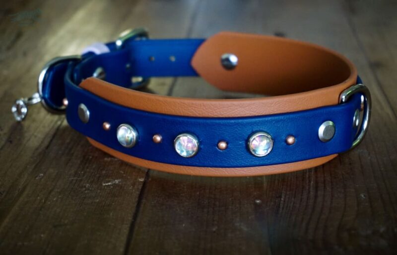 1.5" TOFINO Jewel Studded Layered Buckle Collar - Image 11