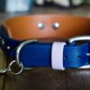 1.5" TOFINO Jewel Studded Layered Buckle Collar - Image 9