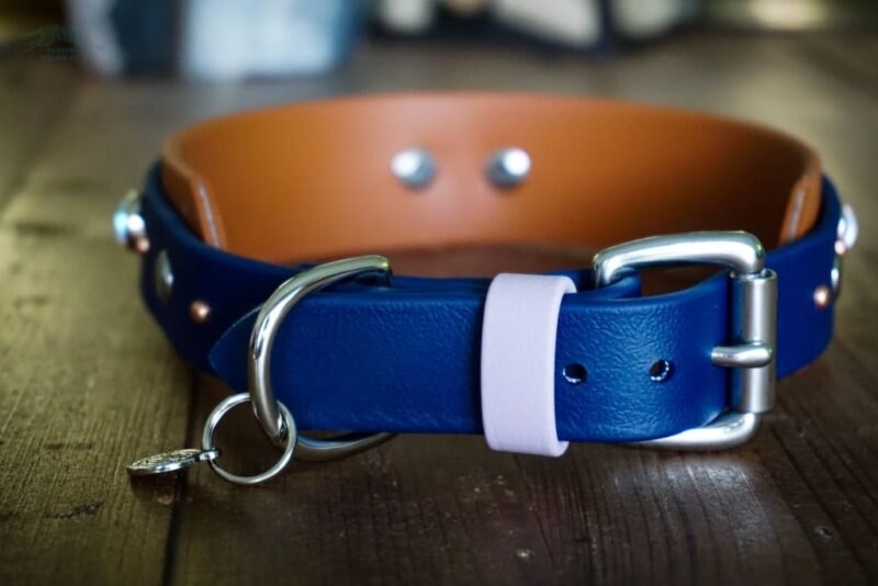 1.5" TOFINO Jewel Studded Layered Buckle Collar - Image 9