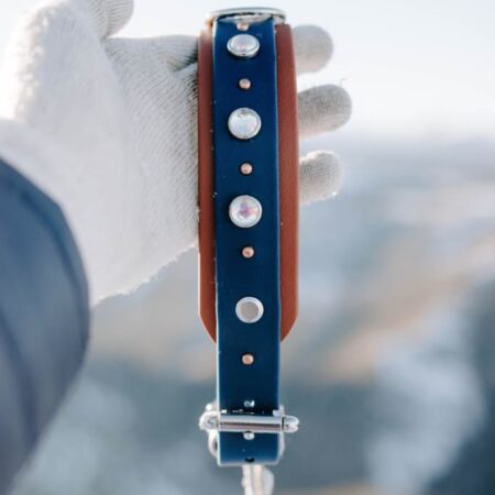 1.5" TOFINO Jewel Studded Layered Buckle Collar