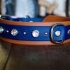 1.5" TOFINO Jewel Studded Layered Buckle Collar - Image 2