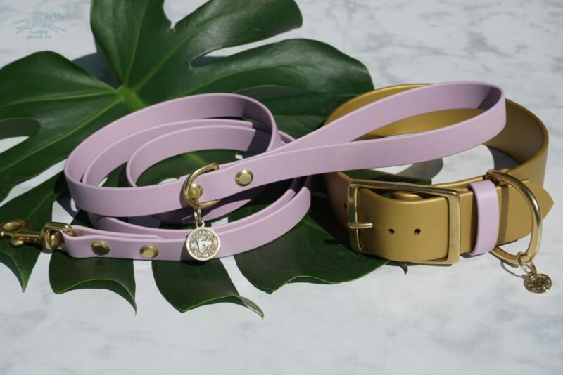1.5" Waterproof Buckle Collar - Image 15