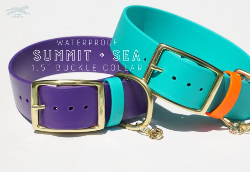 1.5" Waterproof Buckle Collar - Image 16