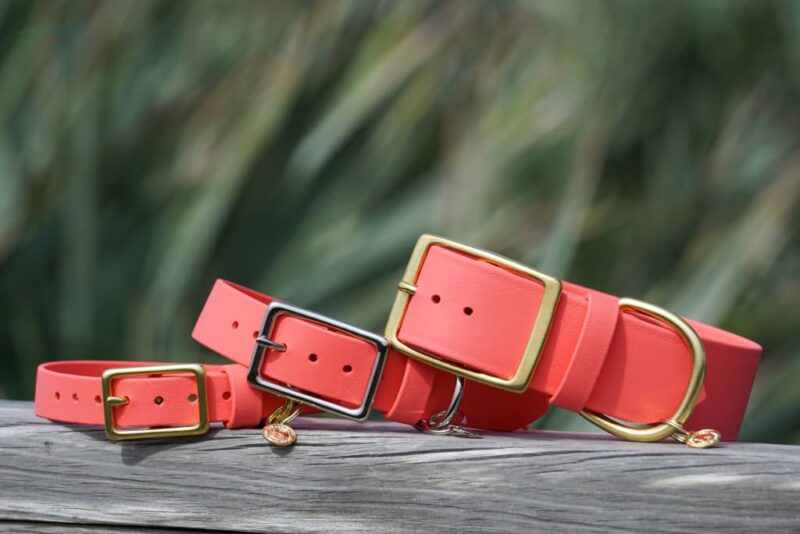 1.5" Waterproof Buckle Collar - Image 8