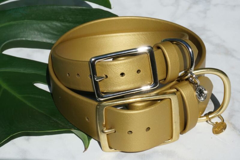 1.5" Waterproof Buckle Collar - Image 9