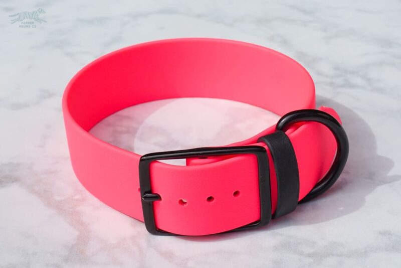 1.5" Waterproof Buckle Collar - Image 17