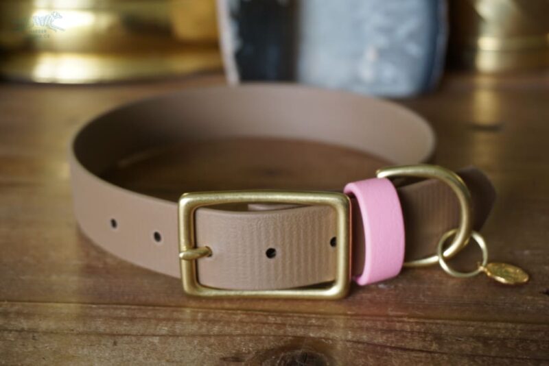 1" ACU Buckle Collar - Image 4