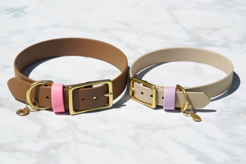 1" ACU Buckle Collar - Image 12