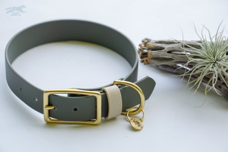 1" ACU Buckle Collar - Image 10