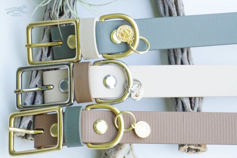 1" ACU Buckle Collar - Image 5