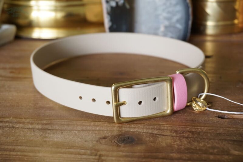 1" ACU Buckle Collar - Image 3