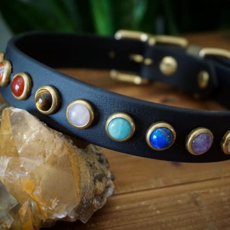 1" CHAKRA Gemstone Buckle Collar