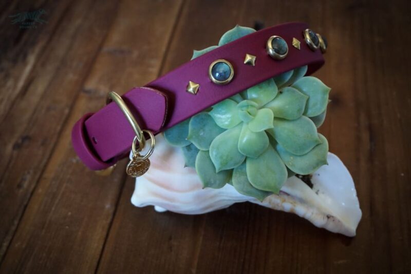 1" GAIA Gemstone Buckle Collar - Image 3