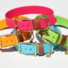 1" Waterproof Buckle Collar - Image 20