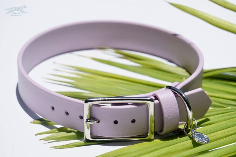 1" Waterproof Buckle Collar - Image 8