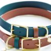 1" Waterproof Buckle Collar - Image 10