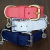 1" Waterproof Buckle Collar - Image 5