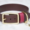 1" Waterproof Buckle Collar - Image 14