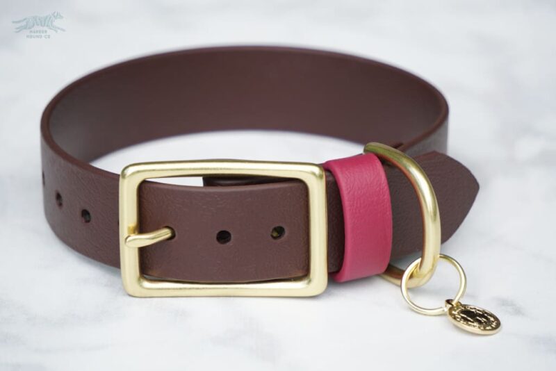 1" Waterproof Buckle Collar - Image 14