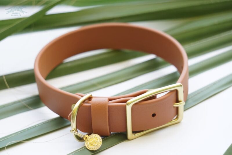 1" Waterproof Buckle Collar - Image 13