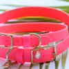 1" Waterproof Buckle Collar - Image 11
