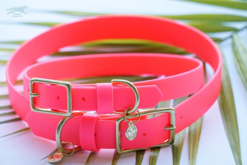 1" Waterproof Buckle Collar - Image 11