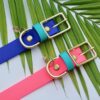 1" Waterproof Buckle Collar - Image 19
