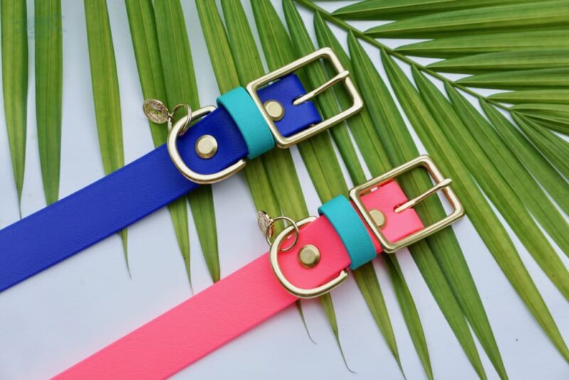 1" Waterproof Buckle Collar - Image 19