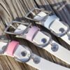 1" Waterproof Buckle Collar - Image 16