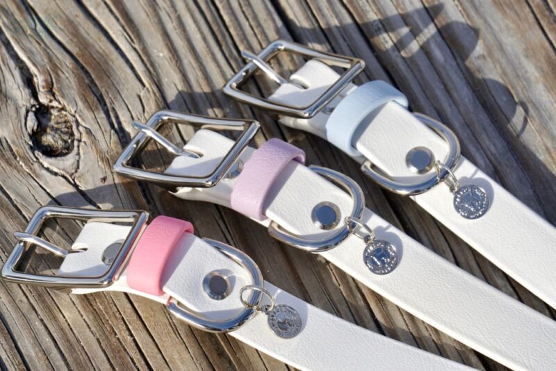 1" Waterproof Buckle Collar - Image 16