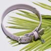 1" Waterproof Buckle Collar - Image 9