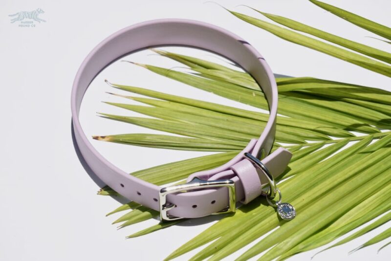 1" Waterproof Buckle Collar - Image 9