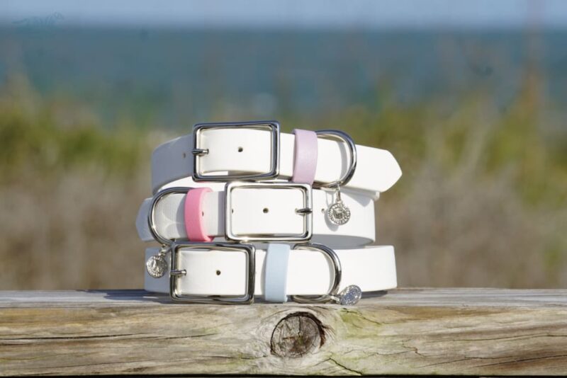 1" Waterproof Buckle Collar - Image 6