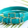 1" Waterproof Buckle Collar - Image 12