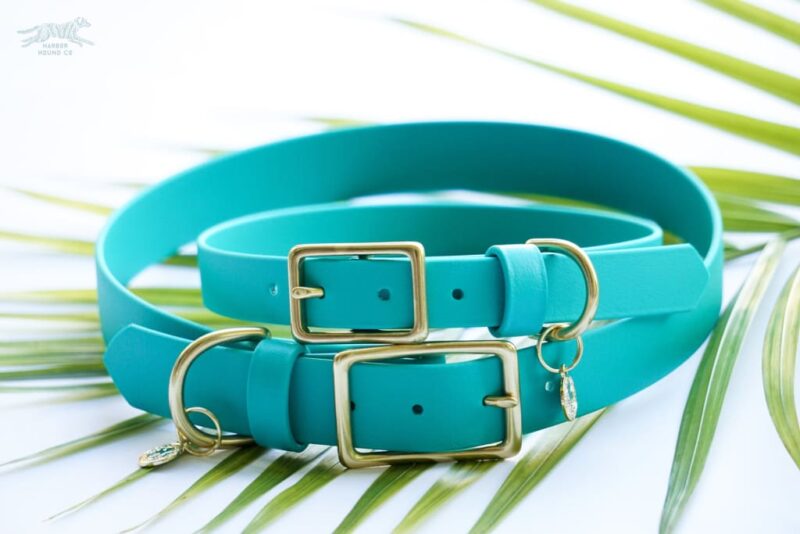 1" Waterproof Buckle Collar - Image 12