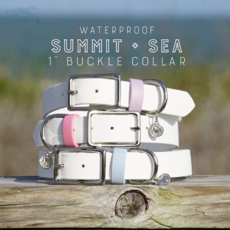 1" Waterproof Buckle Collar