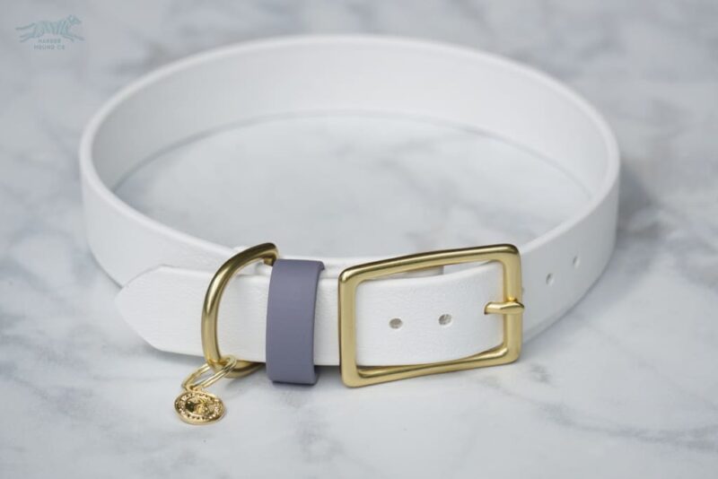 1" Waterproof Buckle Collar - Image 15