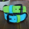 1" Waterproof Buckle Collar - Image 18
