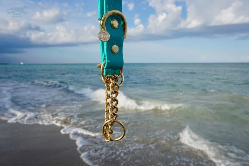 1" Waterproof Martingale Collar - Image 6