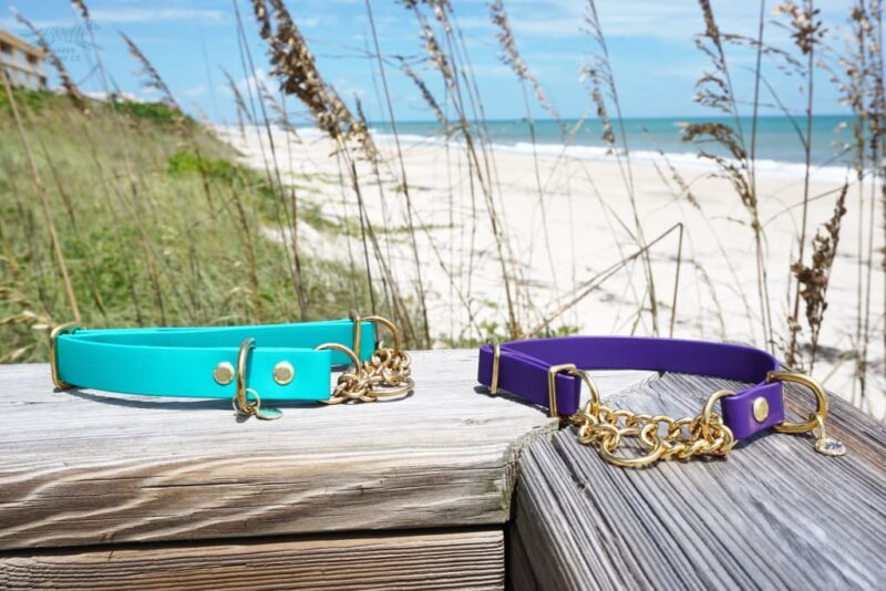 1" Waterproof Martingale Collar - Image 3