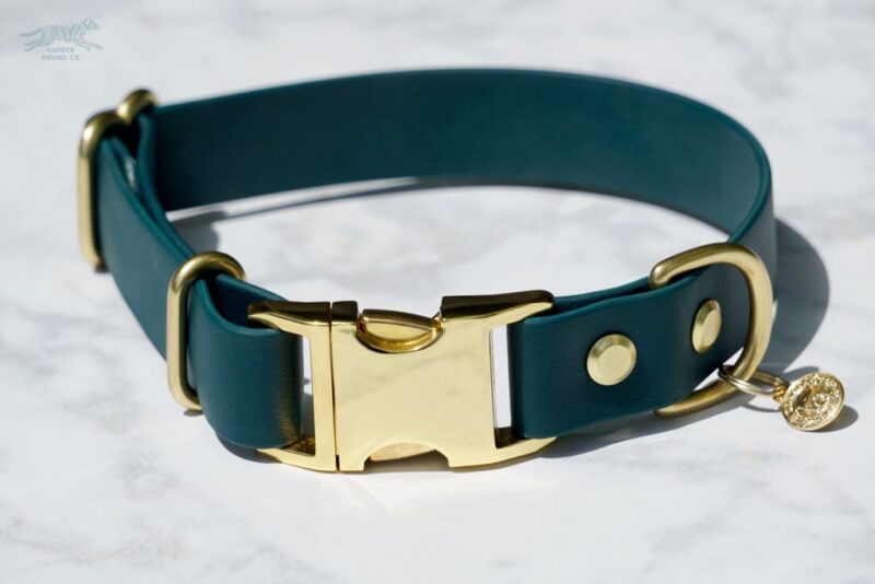 1" wide Quick-Release Buckle Collar - Image 6